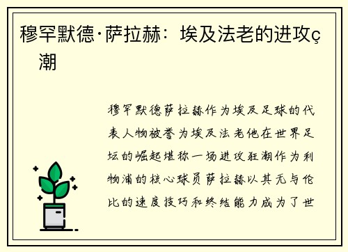 穆罕默德·萨拉赫：埃及法老的进攻狂潮