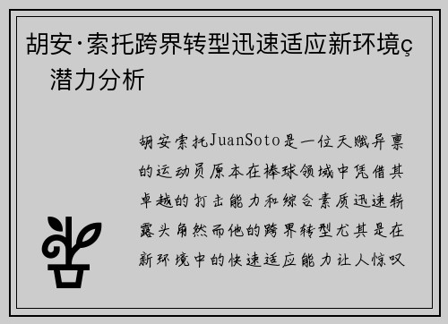 胡安·索托跨界转型迅速适应新环境的潜力分析